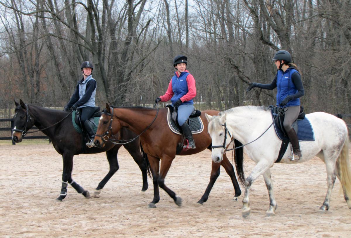 Wilson Adds NCEA Equestrian for Fall 2020 Wilson Edu